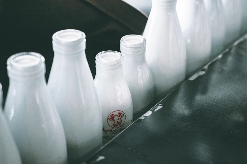 Im Studienfach Milchwirtschaft geht es um Lebensmittelproduktion im ganz großen Stil