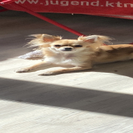 Profilbild